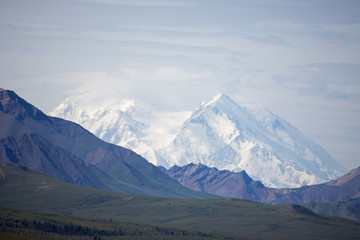 Fototapeta premium Denali National Park Green Transit Bus Tour 
