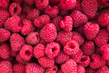 Ripe juicy fresh raspberries. Natural food background.