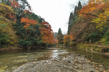 秋の養老渓谷の中瀬遊歩道の風景 © nameyasu