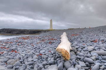 Log on Pebbles Beach