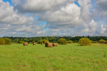 Summer cloudy day on a hay meadow.
