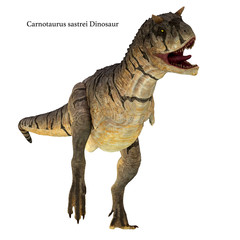 Naklejka premium Carnotaurus sastrei Dinosaur on White - Carnotaurus was a carnivorous theropod dinosaur that lived in Patagonia, Argentina during the Cretaceous Period.