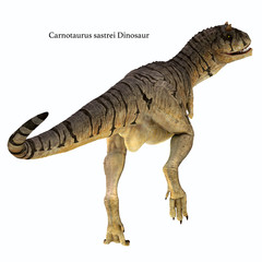 Carnotaurus sastrei Dinosaur Tail - Carnotaurus was a carnivorous theropod dinosaur that lived in Patagonia, Argentina during the Cretaceous Period.