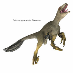 Dakotaraptor Dinosaur on White - Dakotaraptor was a carnivorous dromaeosaurid theropod dinosaur that lived in South Dakota, North America during the Cretaceous Period.