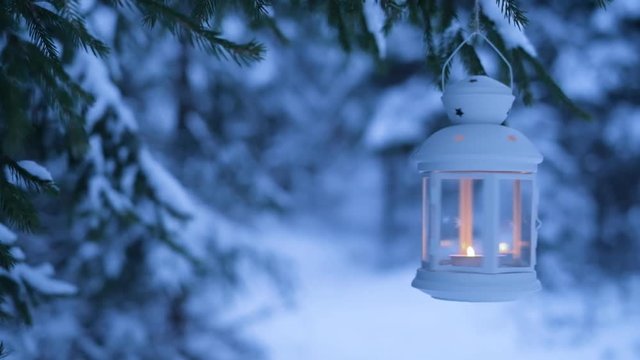 Christmas lantern in the woods under the tree. Lantern with a candle on Christmas eve.