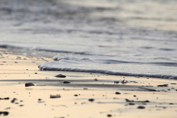 detail stones in sand of beach