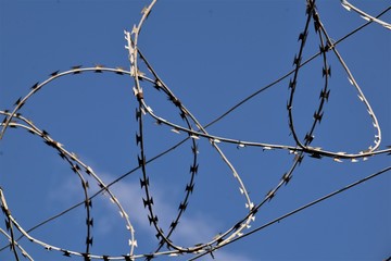 Barbed wire against the sky