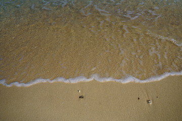 石垣島の波打ち際