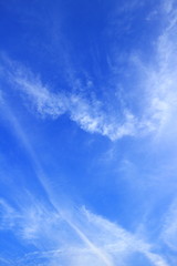 晩夏～早秋　青空　雲