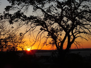 Final de tarde 11