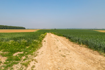 A French farm landscape, on a sunny spring day