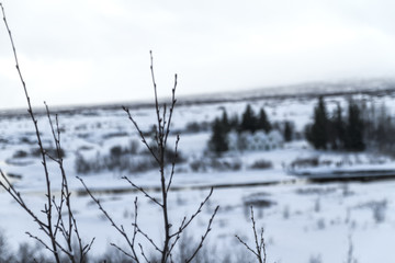 Iceland Landscape