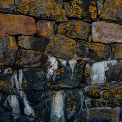 Colourful natural brick wall texture detail 
