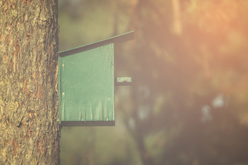 Green color bird cage on pine tree