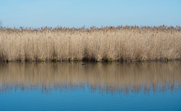 Nature Park with birds
