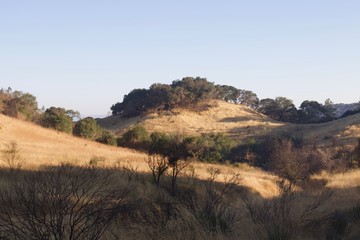 Fototapeta premium Shiloh Ranch Regional Park in southeast Windsor includes oak woodlands, forests of mixed evergreens, ridges with sweeping views of the Santa Rosa Plain, canyons, rolling hills, a shaded creek, and a p