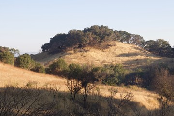Fototapeta premium Shiloh Ranch Regional Park in southeast Windsor includes oak woodlands, forests of mixed evergreens, ridges with sweeping views of the Santa Rosa Plain, canyons, rolling hills, a shaded creek, and a p
