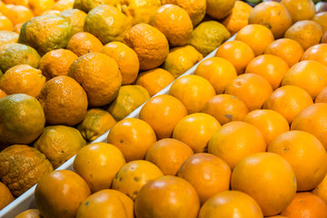 Tidy oranges in a fruit stand, close-up