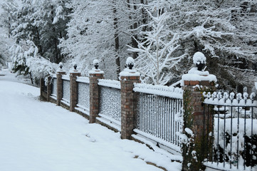 Snow on Fence
