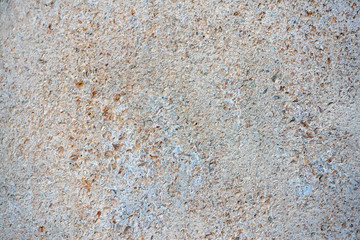 Shell rock texture 2