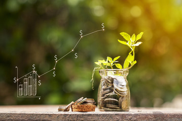 Money growing concept,Business success concept,Trees growing on pile of coins money with vector illustration graph concepts.