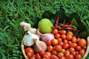 Vegetables in the bamboo basket is all from our own small vegetables garden, very fresh and healthy isolated on the green grass background after harvesting, summer in GA USA .      