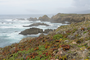Fototapeta na wymiar Beautiful landscape of wild coastline of ocean