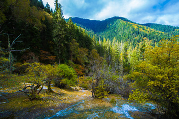 Fototapeta na wymiar Beautiful mountains and forests near Jiuzhaigou in western Sichuan, China in summer
