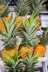 Lahaina Pineapples
