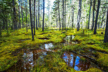 Beautiful scenery near Jiuzhaigou, western Sichuan, China