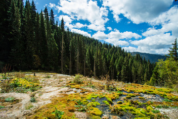 Obraz premium Beautiful mountains and forests near Jiuzhaigou in western Sichuan, China in summer