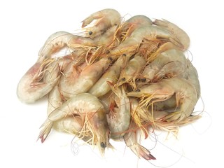 Fresh shrimp prepared 