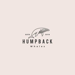 humpback whale logo hipster vintage retro icon vector illustration