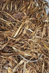 Shredded bark and natural fibers vertical background texture
