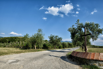 The hill of Tuscany, paradise is next  / Tuscany My country My love 