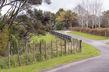 Fototapeta premium Country road