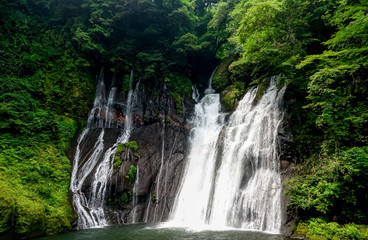 Fototapeta na wymiar 陽目渓谷　白水の滝