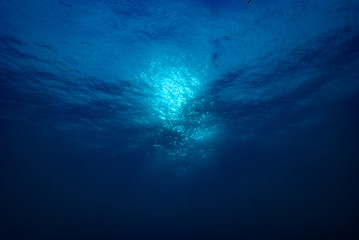 Fototapeta na wymiar Sea Surface from below