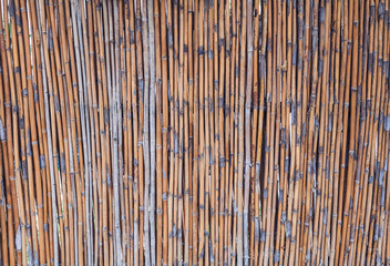 Close up bamboo fence background