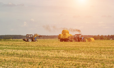 Obraz premium Agriculture and tractor collects straw bales on the farm plant