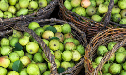 several baskets with pears standing on grass, punchbag