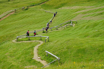 Hikers in high alpine meadow