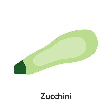 Zucchini in cartoon style, card with vegetable for kid, preschool activity for children, vector illustration