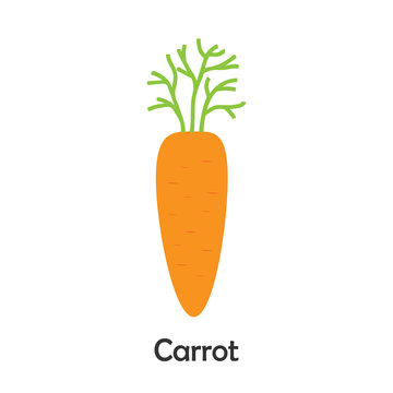 Carrot in cartoon style, card with vegetable for kid, preschool activity for children, vector illustration