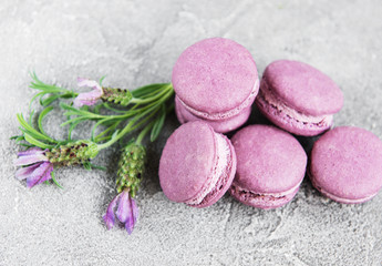 Obraz na płótnie Canvas french macarons with lavender flavor