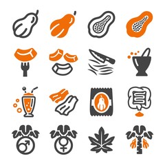 papaya icon set