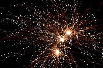 Fireworks in the night sky