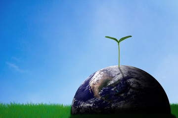 Ecology Concept Background