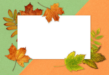 Naklejka na ściany i meble Green and orange dry autumn leaves and a card