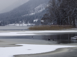 Schliersee en hiver . Petit lac des Alpes de Bavière en Allemagne